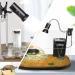 Qiheng Reptile Heat Lamp: UVA+UVB Turtle Sun Lamp & Pet Heating Light Bulb - Optimal Basking for Reptiles - Buy Online on GoSupps.com