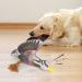 Shop Aquatic Human Squeaky Dog Toys - Crocodile Parrot Lizard & Wild Goose for All Dog Sizes - Buy Online on GoSupps.com
