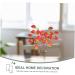 ABOOFAN 2pcs Strawberry Cuttings Bed Room Decor Decoration for Bedroom Artificial Fruit Decoration Holiday Function Decoration Home Decor Plant Decor Simulation Strawberry Picks Household - Buy Online on GoSupps.com