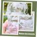 STOBOK 6 Pcs Vegetable Shaping Mold Tool Cucumbers Pear Growth Watermelon Mold Growing Fruit Mold Cute 9x8cm Transparent - Buy Online on GoSupps.com