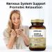 oppuland GABA & L-Theanine - Promotes Relaxation | Nervous System Support | Mood Support -60 Veggie Capsules - Buy Online on GoSupps.com