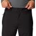 Columbia Men's Shafer Canyon Ski Pants L/R Black Durable Winter Gear for Ultimate Performance - Buy Online on GoSupps.com