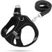 Dog harness Small dogs puppy tableware cat dishes dog dishes bright with leash curli dog dog harness dishes dog puppies (black m) m black black
