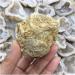 Natural Crystal Rough Natural White Agate Geode Slice Quartz Crystal Cluster MineralsCrystal Home Decoration for Decoration Stone Generator HOMEZHOU 2pcs - Buy Online on GoSupps.com
