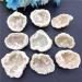 Crystal Stone 1PC Large Natura Stone Crystal Cluster Minerals Specimen Stone Gemstones Presents - Buy Online on GoSupps.com