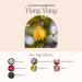 Tranquil Touch Ylang-Ylang Facial Cream - 0.5 FL OZ | Rebalancing Skincare for Emotional Harmony - International Shipping Available - Buy Online on GoSupps.com