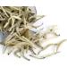GOARTEA 150g (5.29 Oz) Supreme Silver Needle White Tea Th Blanc Chinese Bai Hao Yin Zhen Baihaoyinzhen Th Blanc Loose Tea - Buy Online on GoSupps.com