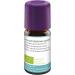 Baldini Aroma Nelkenbl te 5 ml - Buy Online on GoSupps.com
