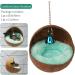 Violotoris Hanging Coconut Shell Bird Nest House Bed Natural Random Color Cushion Birdhouse Bird Hut Breeding Place Toy For Bird - Buy Online on GoSupps.com