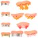 Nolitoy 10 Stk Hinterw ldler teeth creepy teeth pumpkin teeth costume teeth halloween dentist evil teeth vampire teeth zombie teeth artificial teeth support toys cosplay pvc