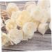 Villcase 8-Piece Wood Flower Rattan Sola Fragrance Oil Diffuser - Aromatherapy Home Scents & Spa Decor - Buy Online on GoSupps.com