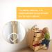 Anti-Tip Furniture Wall Anchor Straps(6 Pack)  Wall Anchors Straps Kit for Bookshelf or Dresser Adjustable Safety Furniture Wall Straps for Baby Kids Child Dogs Cabinet  Bed Shelf etc.(White) - Buy Online on GoSupps.com