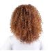 Buy Witle Bob Afro Kinky Curly Wig for Black Women | Heat Resistant Synthetic Ombre Brown Hair | 17 Full Wig with Free Cap - 180g - Buy Online on GoSupps.com