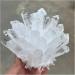 Natural Crystal Rough Crystal Cluster Natural White Phantom Quartz Crystal Cluster Samples Home Office Decoration (Size : 210-300g) - Buy Online on GoSupps.com