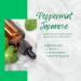 Peppermint Essential Oil - 100% Pure | 8 fl oz Aluminum Bottle | GreenHealth - Buy Online on GoSupps.com