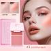 SOUTHJIELING 2 in 1 Cream and Powder Blush Palette Compact Makeup for Long Lasting Natural Color and Smooth Application - Buy Online on GoSupps.com