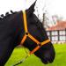 Halter for horse warmblood thoroughbred cold blood - stable halter pasture 2 compartment adjustable to chin straps and neck pieces safe & tearproof (orange pony) orange pony