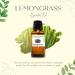 Lemongrass Essential Oil - 16 fl oz - 100% Pure & Natural - GreenHealth | Aluminum Bottle | International Shipping Available - Buy Online on GoSupps.com