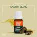 Beauty Guru Castor Oil Eyelash Serum with Vitamin E - 8 ML | Easy Brush Applicator - Buy Online on GoSupps.com