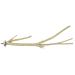 Birds LOVE Bottlebrush and PepperWood Bird Cage Perch - Small to Extra Large for Canaries, Parakeets, Conures, Quakers, Macaws Birds Bottlebrush - Small Pack of 1