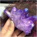 Aura Crystal Cluster Purple Angel Aura Titanium Quartz Crystal Specimen Minerals s Stone Crystal Reiki - Buy Online on GoSupps.com