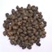 RAW HERB/JADI BOOTI JAMUN GUTHLI JAAMUN SEEDS SYZYGIUM CUMINI BLACK PLUM (500GM) - Buy Online on GoSupps.com