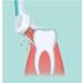 Panasonic EW0911 Replacement Toothbrush Heads Pack of 2 for EW1031 Sonic Toothbrushes - Buy Online on GoSupps.com