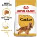 Royal Canin Dog Food Cocker Spaniel 12 Kg - Buy Online on GoSupps.com