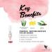 Forever Living Aloe Vera Lip Balm - Set of 3 - Buy Online on GoSupps.com