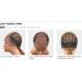 Sensationnel What Lace 13x6 Wigs - LATISHA Synthetic Wig Cloud 9 with Pre-Plucked Hairline HD Lace (T1B/30) - Shop Internationally for Quality Wigs - Buy Online on GoSupps.com