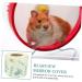 Hohopeti 2 Rolls Sand Trim Strip Hamster Nail Trimming Tapes Nail Trimmers Small Hamster Wheel Hamster Wheel Stickers Anti-skid Trimming Tape Wheeled Non-woven Fabric Exercise Wheel 280x8cm As Shown - Buy Online on GoSupps.com