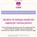 Cupid Baby Home Insemination Kit - Includes 5 Ovulation Tests & 1 Conception Cup - Buy Online on GoSupps.com