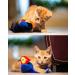 Shop Vealind GiGwi Electronic Toy for Dogs & Cats - Lifelike Parrot Sounds | International Shipping Available - Buy Online on GoSupps.com
