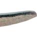 Moneysworth & Best Polar Men's Warmth Down to -25c Felt Insole | Sizes 7-10 - Buy Online on GoSupps.com