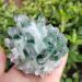 Natural Crystal Rough 1pc Natural Green Phantom Quartz Crystal Cluster Stone Ornaments 300G-900G for (Color : 1pc810g-900g Size : 1PC) 1PC 1pc810g-900g - Buy Online on GoSupps.com