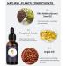 Beard Growth Kit with Derma Roller & 100% Natural Beard Oil Serum for Men - Promotes Beard Growth and Hair Regrowth - Ideal Gift for Men, Dad, Father - 0.5mm - Buy Online on GoSupps.com