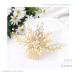 Casdre Pearl Bride Wedding Hair Comb - Crystal Rhinestone Bridal Hair Accessory for Women & Girls (Gold) - Buy Online on GoSupps.com