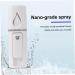Ipetboom 1pc Steamer Portable Facial Hunidifier Carpet Spots Nano Mist Sprayer Spray Meter Steamboat Cosmetic 10.5*3cm White - Buy Online on GoSupps.com