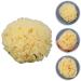 GANAZONO Esponja para Ba arse Cleaning Scrubber Shower Accessory Back Scrubber Bath Ball Shower Scrubber Bath Exfoliating Tool Bathroom Shower Ball Sponge Shower Supplies Body Baby - Buy Online on GoSupps.com