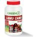 Greens+ Advanced Multi Raw Superfood Powder Healthy Organic Blend Non-GMO Soy/Dairy/Gluten Free Camu Camu Vitamin C Supplement Pure Berry SuperFruit 400mg Vitamin C 120 Veggie Capsules - Buy Online on GoSupps.com