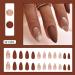 Medium Almond Press on Nails - Brown Matte with Gold Line Designs | 24PCS Full Cover Reusable Fake Nails for Women & Girls - Buy Online on GoSupps.com