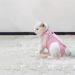 PopetPop Recovery Suit for Cats & Dogs | Sterilization Care Wipe & Healing Licking Suit | 28cm Pink - Ideal for Post-Op Recovery & Weaning - Buy Online on GoSupps.com