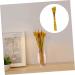 Abaodam 200 Pcs Dried Wheat Ears Bouquet Decked Dried Flower Bouquet Wheat Sheave Bundle Wheat Sheave Flower Wedding Decoration Wheat Stalk Ears of Wheat Gift Dried Flowers. Yellowx2pcs 52X10CMx2pcs - Buy Online on GoSupps.com