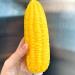 Squeeze Toy Venting Quick Recovery Reusable Colleagues Kids Squeeze Corn Toy for Family Multicolor - Buy Online on GoSupps.com