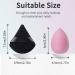 WSYUB 2pcs Beauty Makeup Sponge & 4pcs Triangle Velvet Powder Puff Set - Buy Online on GoSupps.com