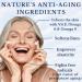 Hydrating Facial Moisturizer Face Cream - Organic Daily Moisturizer for Soft & Smooth Skin - Women and Men - Anise Original - Buy Online on GoSupps.com
