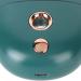 Facial Mist Sprayer Silent ABS Cute Animal Face Mist Humidifier USB Rechargeable 500mah for Office (Green) - Buy Online on GoSupps.com