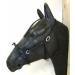 Buy PS Horse French Cavesson Cavecon with D-Rings - Soft Full Brown with Gold Fittings | International Shipping Available - Buy Online on GoSupps.com