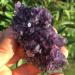 Natural Crystal Rough Natural Amethyst Quartz Crystal Cluster Specimen 80g - Buy Online on GoSupps.com