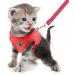 Femax Reflective Dog Harness & Linen Set - Soft Mesh Padded for Puppies & Cats - Adjustable Breathable XL (Chest 47-52 cm) - Ideal for Walking Running & Training - Red - Buy Online on GoSupps.com